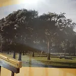 La Abuela Marcelina Foncastin