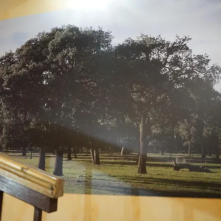 La Abuela Marcelina Foncastin