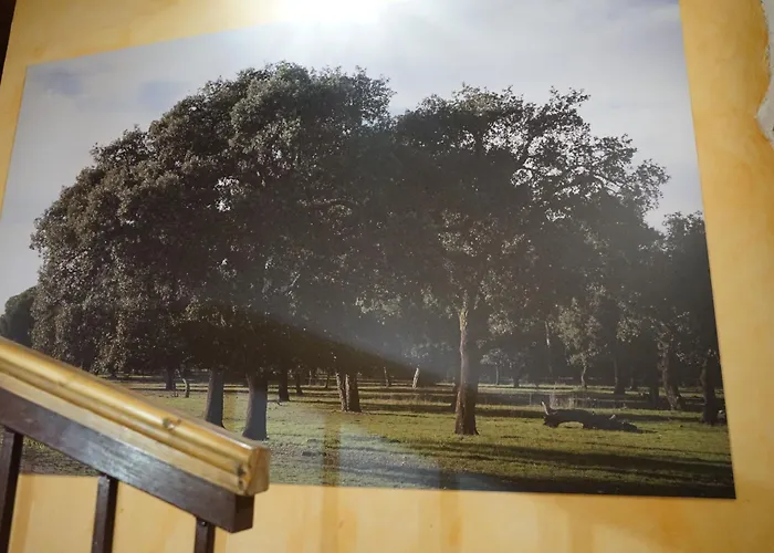 La Abuela Marcelina Foncastin